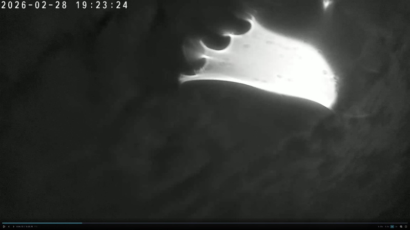 Évènement #2252 — lune émergeant des nuages, halo lumineux