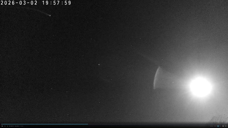 Évènement #2915 — chauve-souris, trajectoire serpentine, arrivée par le haut-gauche